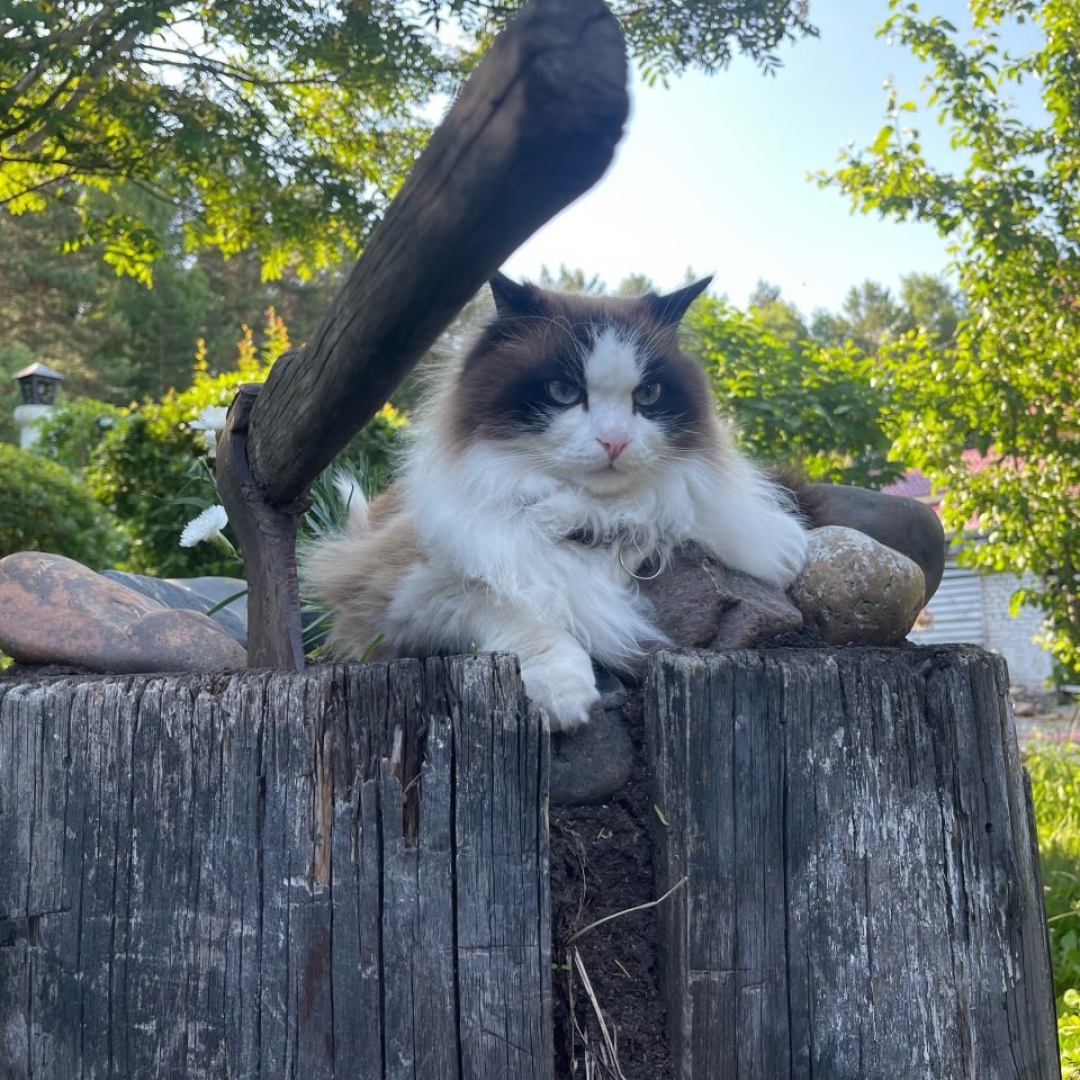 Телефоны и смартфоны прочно вошли в нашу жизнь