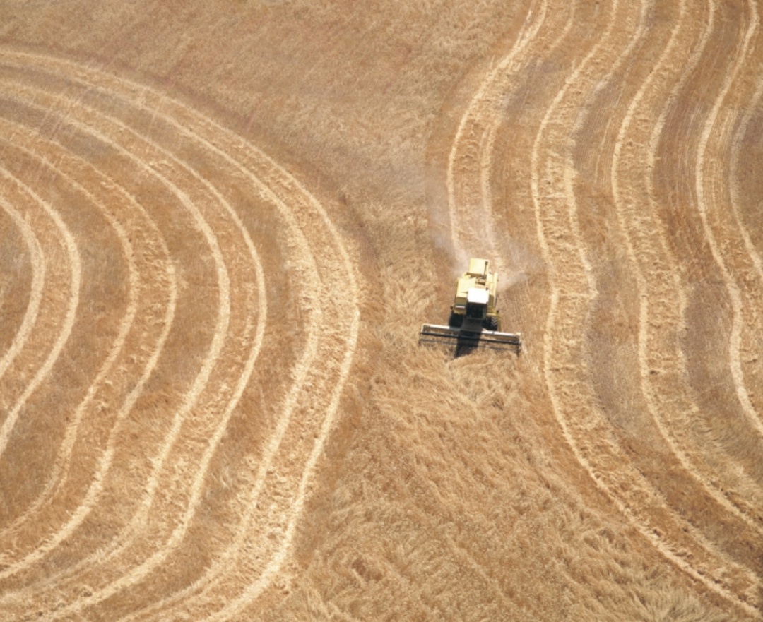 Цены спроса на российскую пшеницу с протеином 12,5% с поставкой в августе-сентябре на прошлой неделе упали на $7, до $235/т FOB, сообщил аналитический центр…
