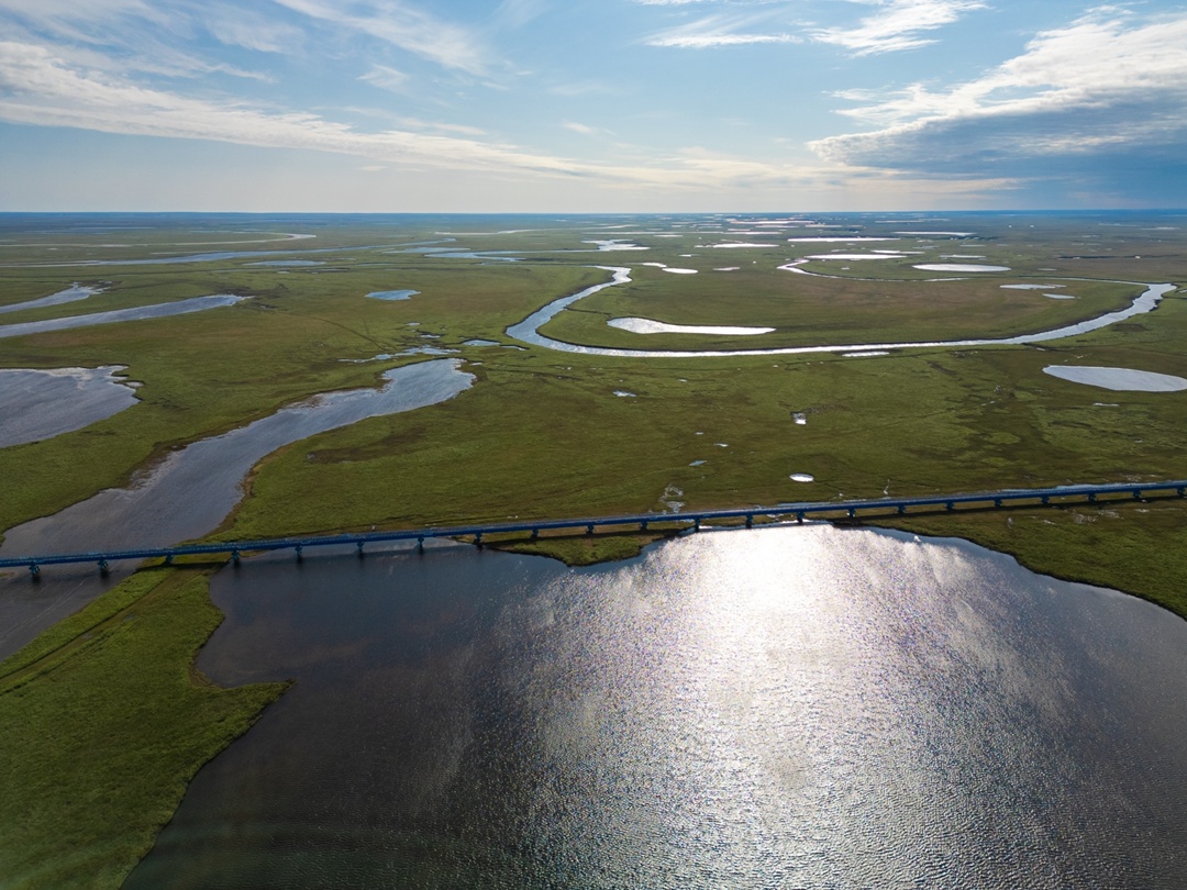 Ямальская тундра в лучах летнего солнца прекрасна! В объективе – космические пейзажи и самый длинный в мире мост за полярным кругом.