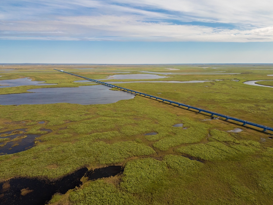 Ямальская тундра в лучах летнего солнца прекрасна! В объективе – космические пейзажи и самый длинный в мире мост за полярным кругом.