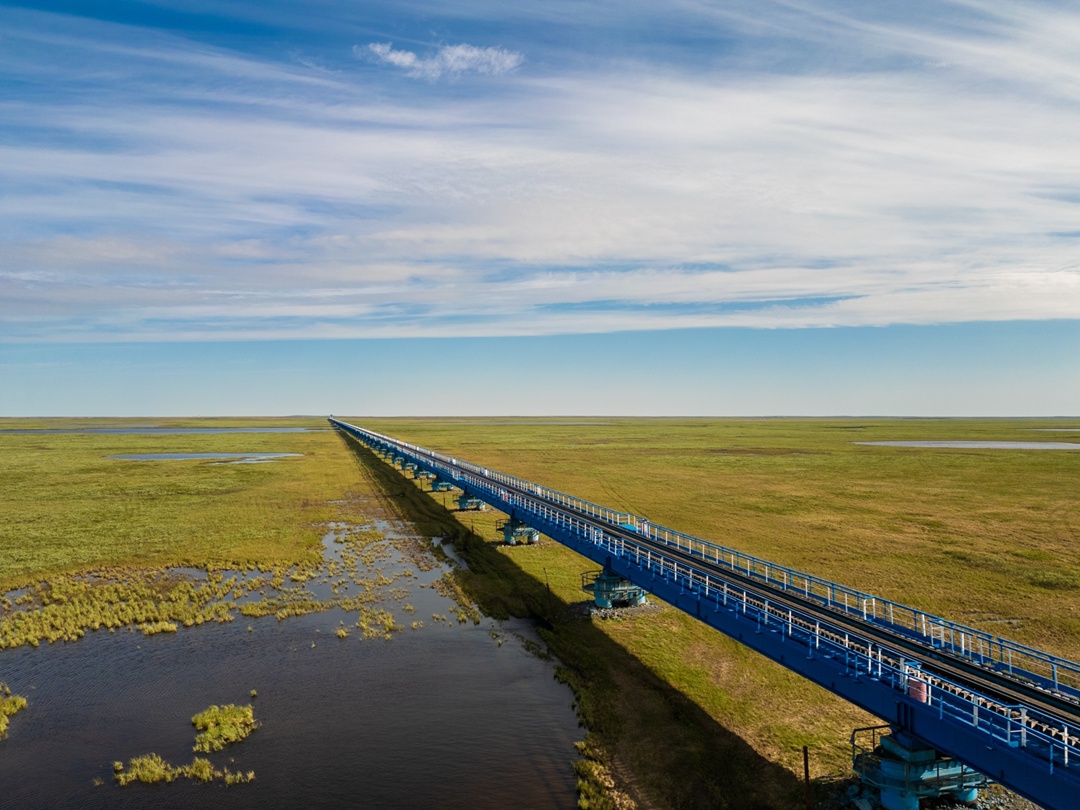 Ямальская тундра в лучах летнего солнца прекрасна! В объективе – космические пейзажи и самый длинный в мире мост за полярным кругом.