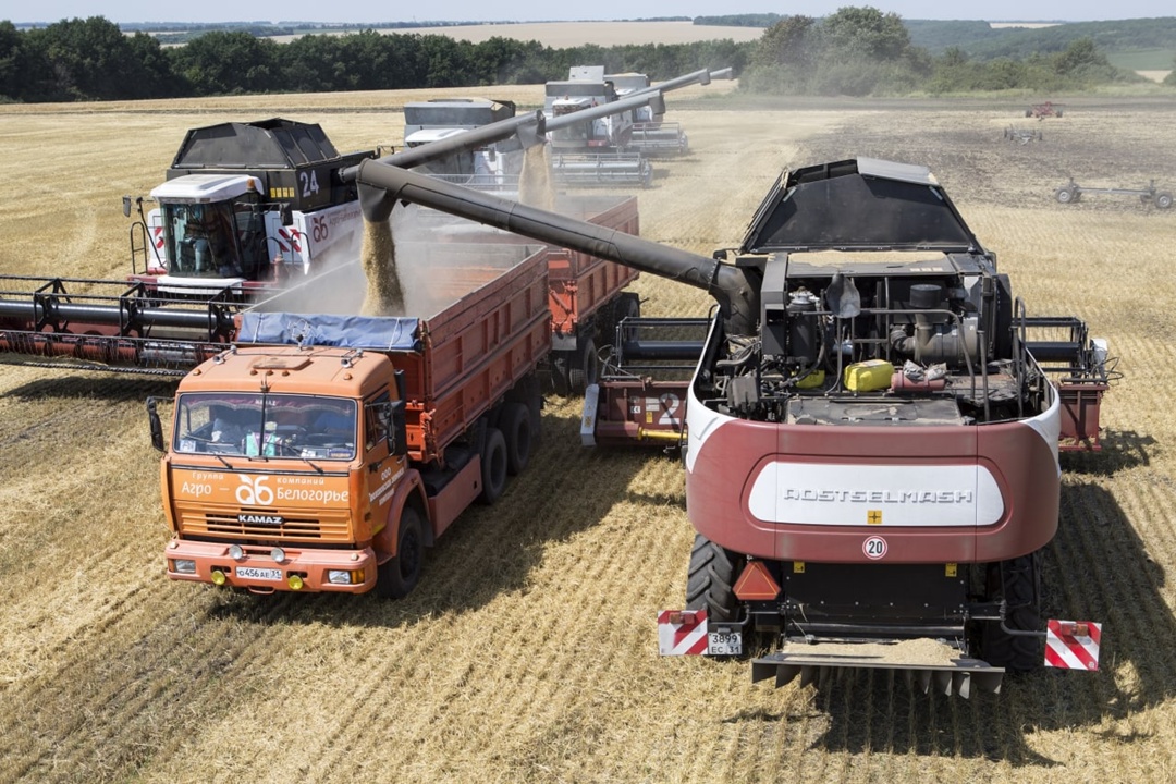 Хорошие новости с полей: уборка ранних зерновых завершена
