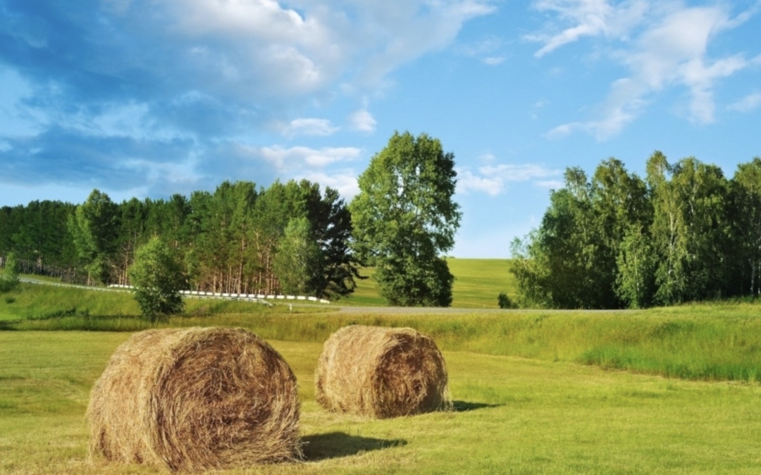 ГАП «Ресурс» начала реализацию проекта по строительству круглогодичной туристической базы с оздоровительным уклоном, на которой единовременно смогут отдыхать…