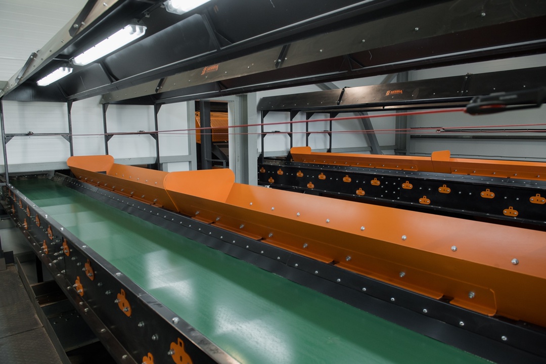 В Воронежской области открылся современный селекционно-семеноводческий центр