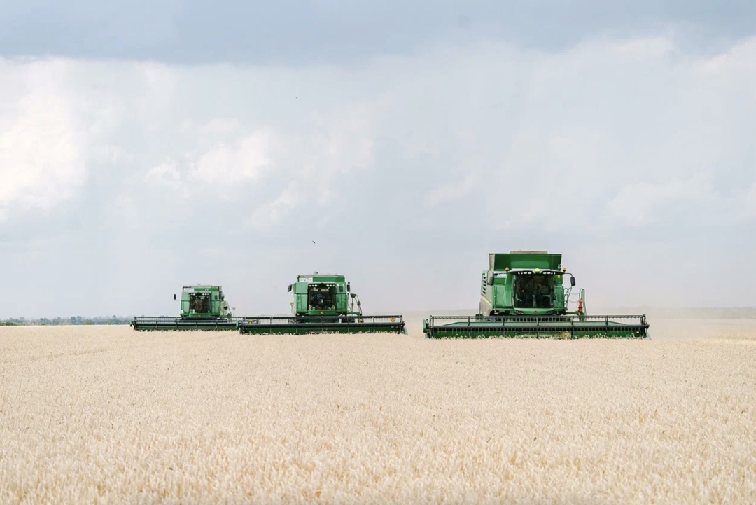 Валовой сбор зерновых и зернобобовых в этом году составит 132,4 млн т, пишет «Коммерсантъ» со ссылкой на консенсус-прогноз Центра ценовых индексов (ЦЦИ).…