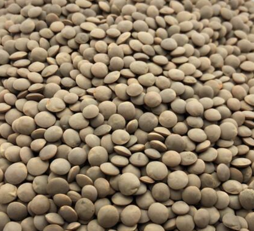 Селекционно-семеноводческая компания Ruseed и ФГБНУ РосНИИСК «Россорго» начинают работу по селекции чечевицы. В рамках подписанного соглашения они будут…