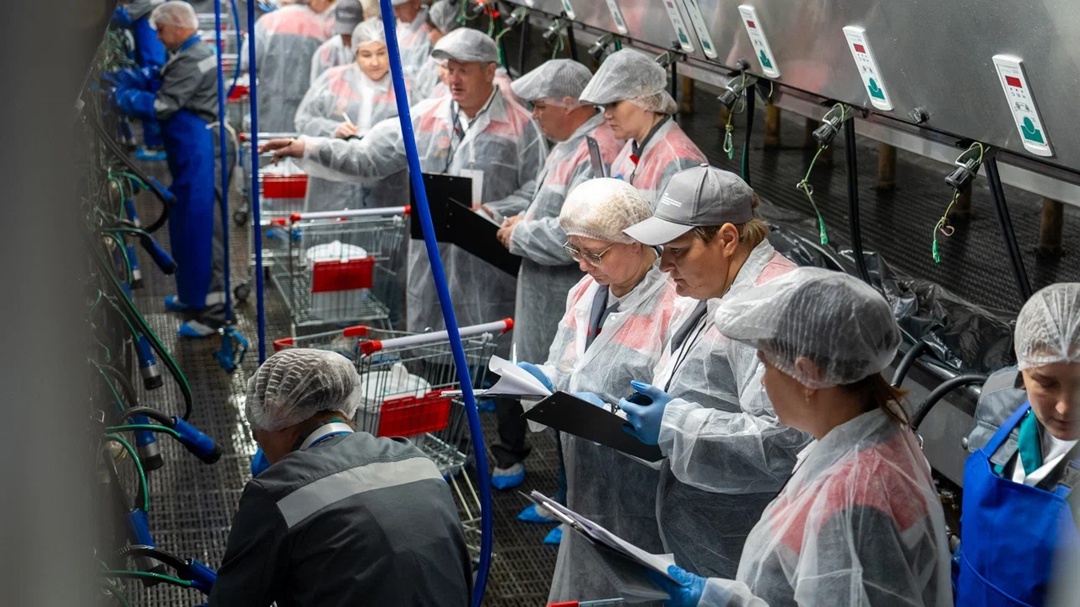 Стартовал 29-й Всероссийский конкурс операторов машинного доения коров