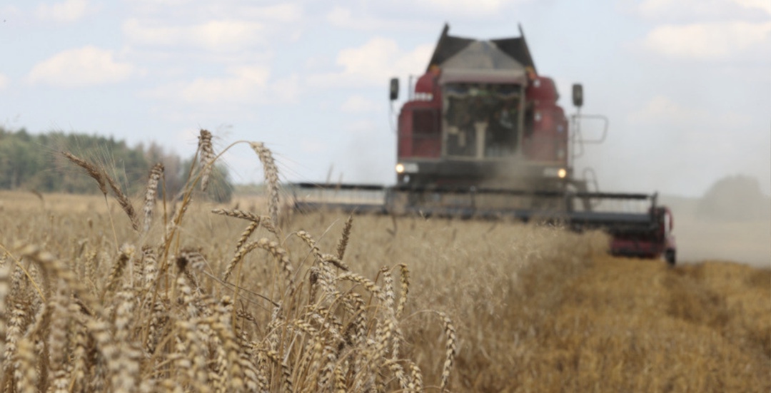 Несколько сельскохозяйственных предприятий в восьми районах Нижегородской области, объединенных в группу компаний «Агат», выставлено на продажу за 12 млрд…