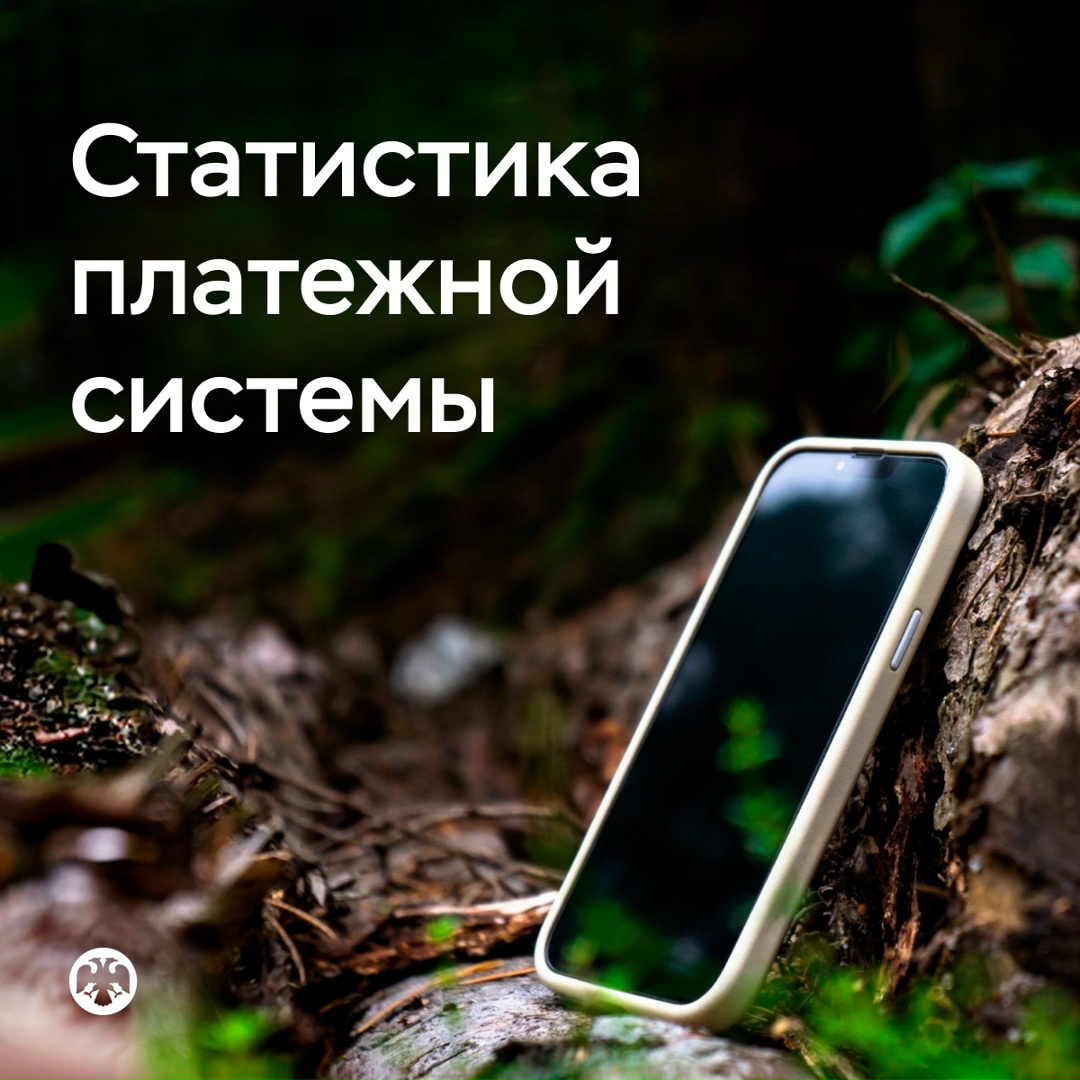 Популярность оплаты по биометрии и QR-кодам растет