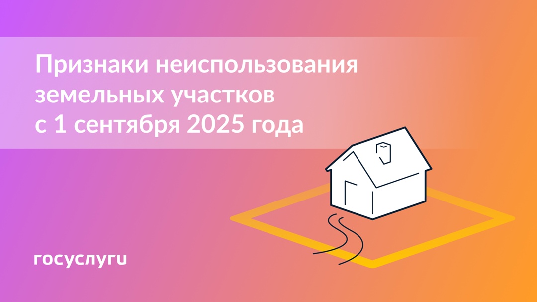 Установлены критерии неиспользования участков: что нужно учитывать собственникам земли с 1 сентября