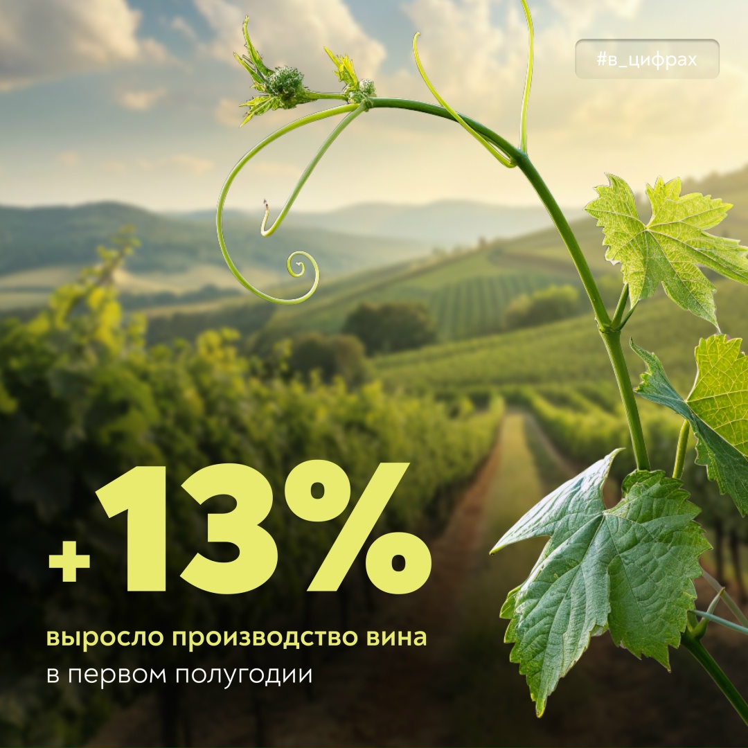 Выбираем свое – российское вино! В первом полугодии производство вин в нашей стране выросло на 13%:
