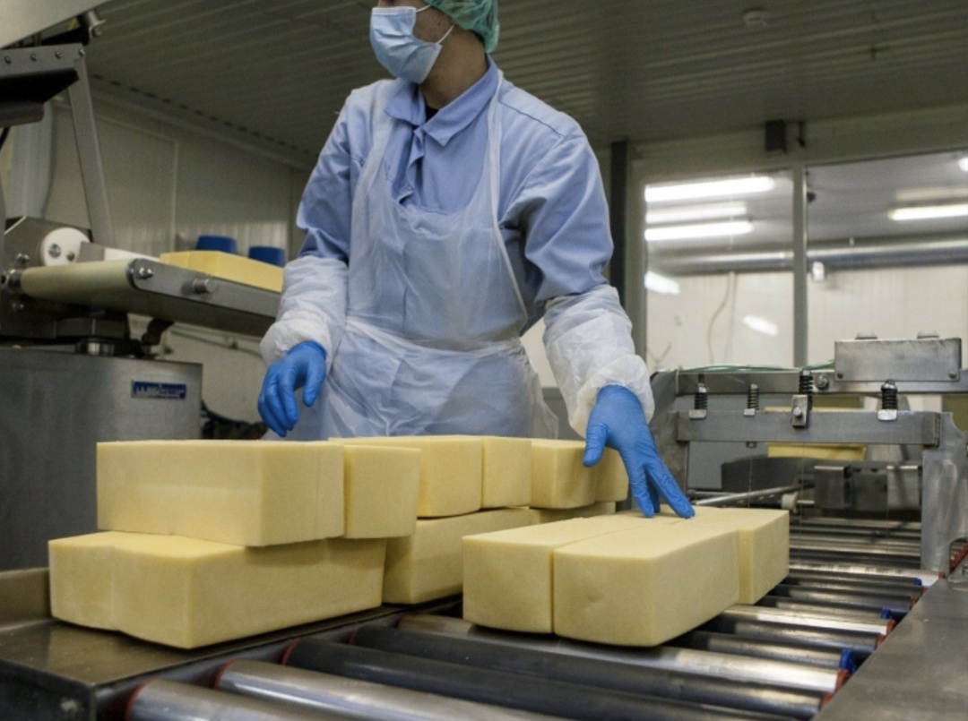 Потребление сыра в России по итогам 2024 года достигло исторического максимума — 7,9 кг на человека в год, пишет РБК со ссылкой на обзор консалтинговой…