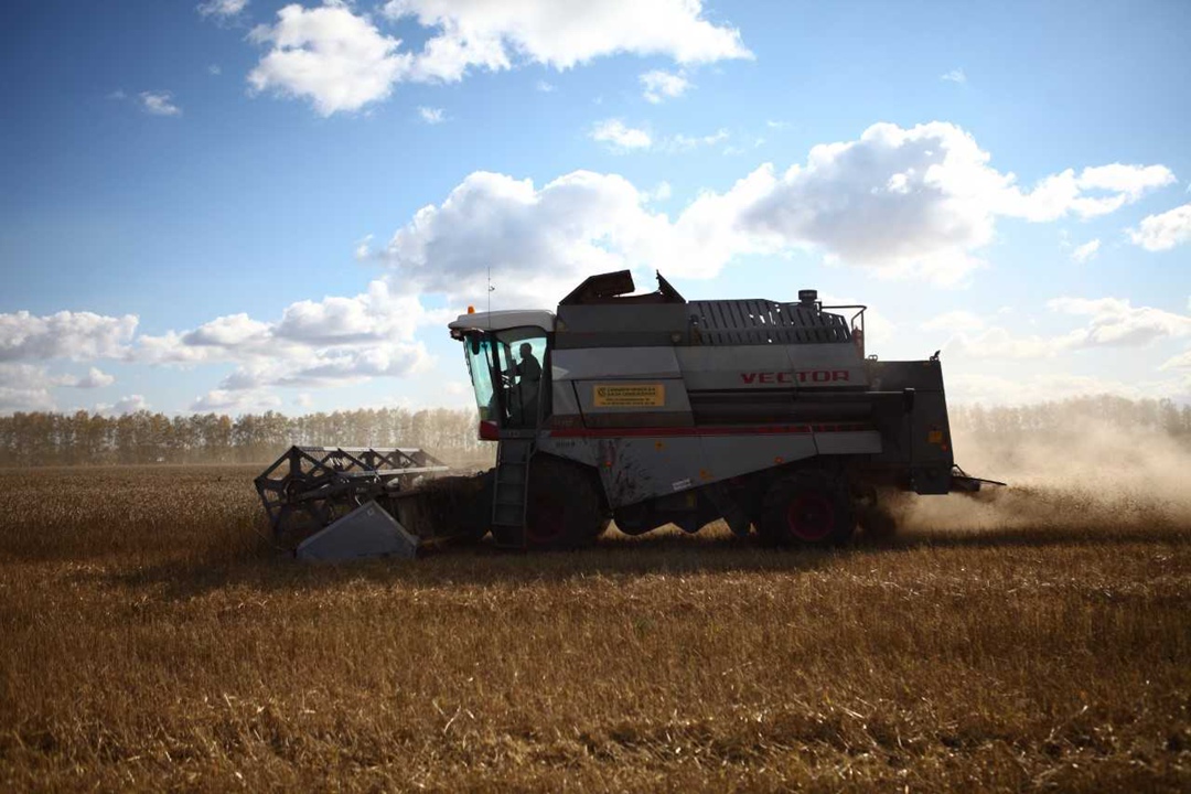 На полях растениеводческого предприятия «Продо Зерно» (входит в группу «Продо») стартовала уборочная кампания, урожай предстоит собрать примерно на 57 тыс. га…