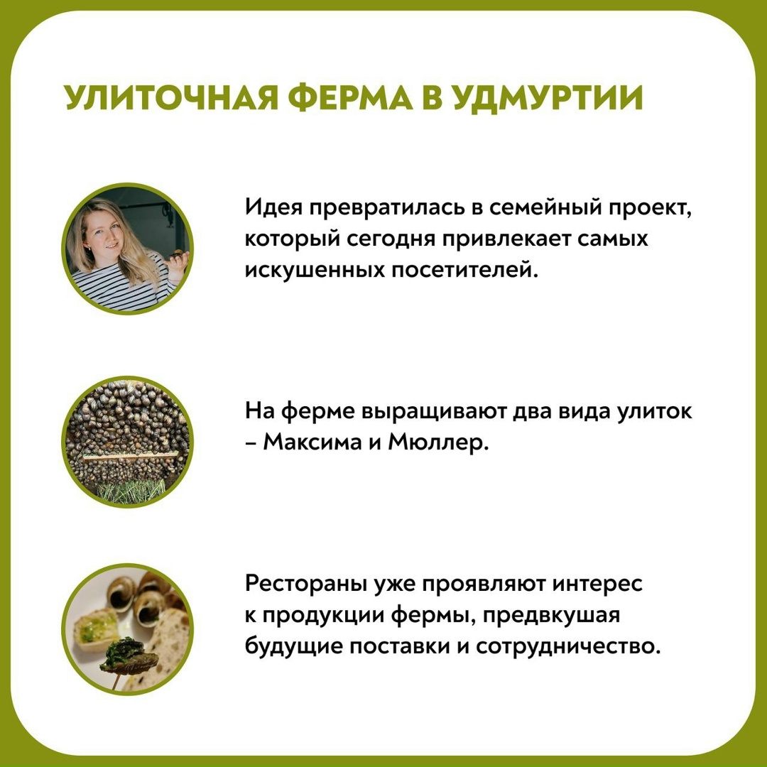 Медленно, но верно: улиточный бизнес в Удмуртии
