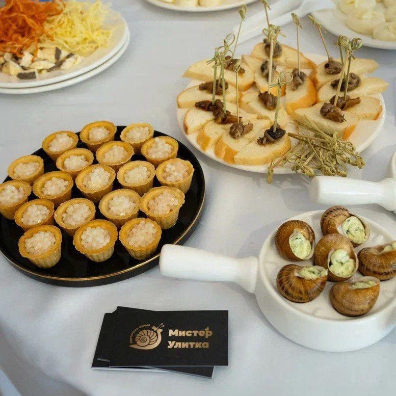 Медленно, но верно: улиточный бизнес в Удмуртии