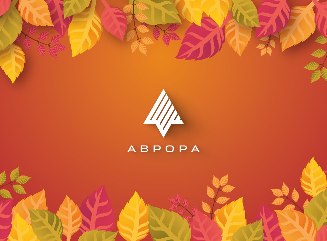 Готовимся к осени #ВМЕСТЕ с сообществом ОС Аврора