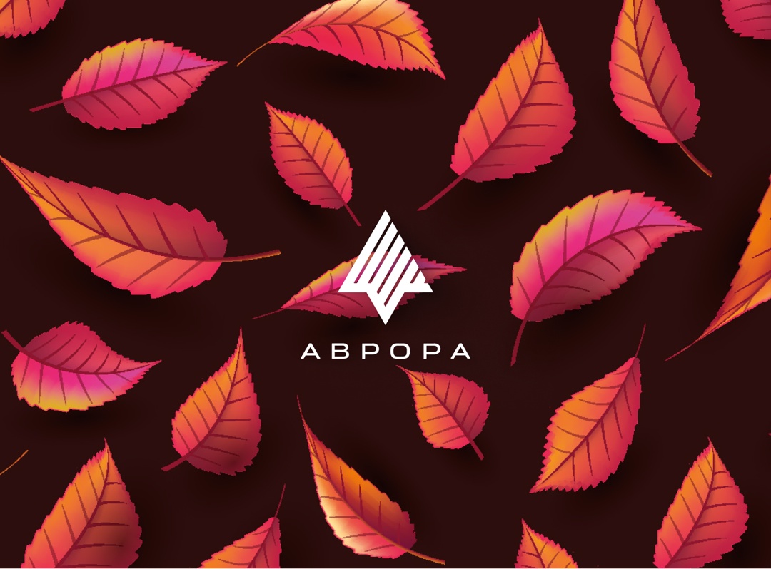 Готовимся к осени #ВМЕСТЕ с сообществом ОС Аврора