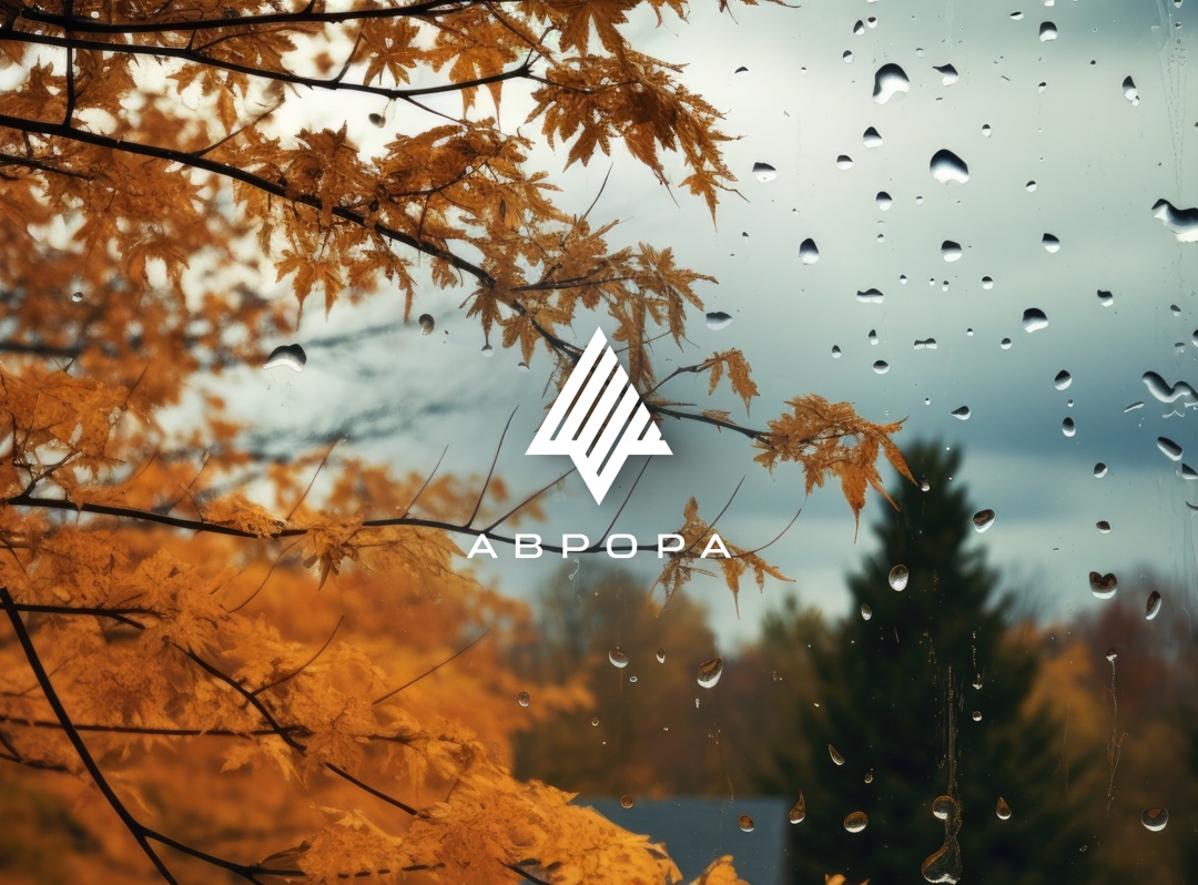 Готовимся к осени #ВМЕСТЕ с сообществом ОС Аврора