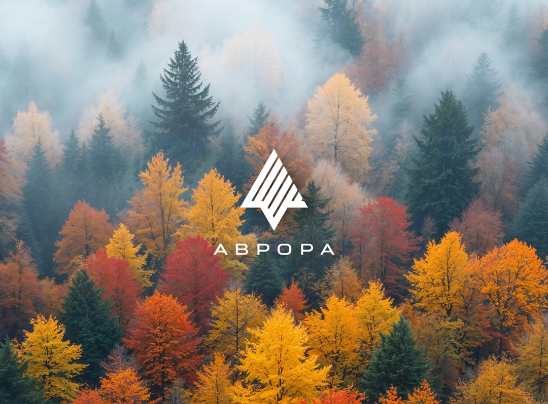 Готовимся к осени #ВМЕСТЕ с сообществом ОС Аврора