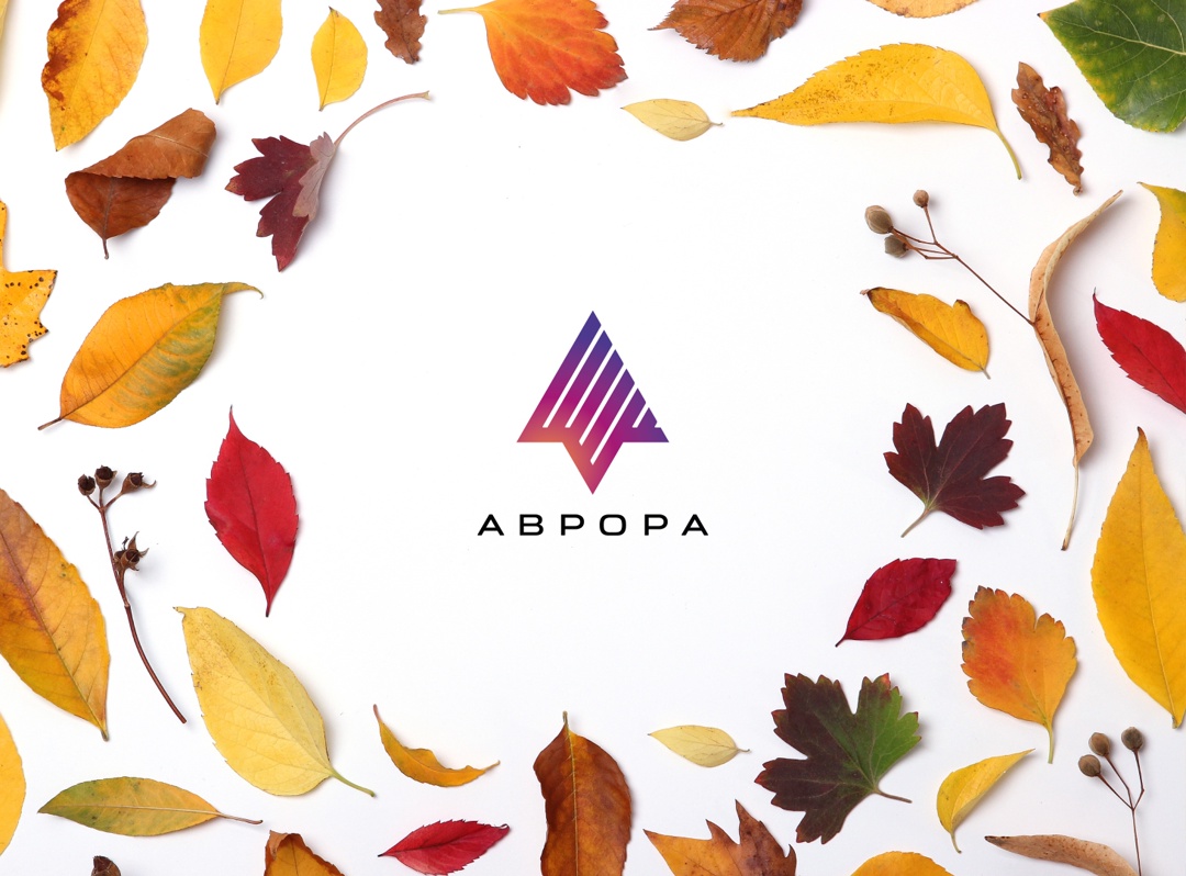 Готовимся к осени #ВМЕСТЕ с сообществом ОС Аврора