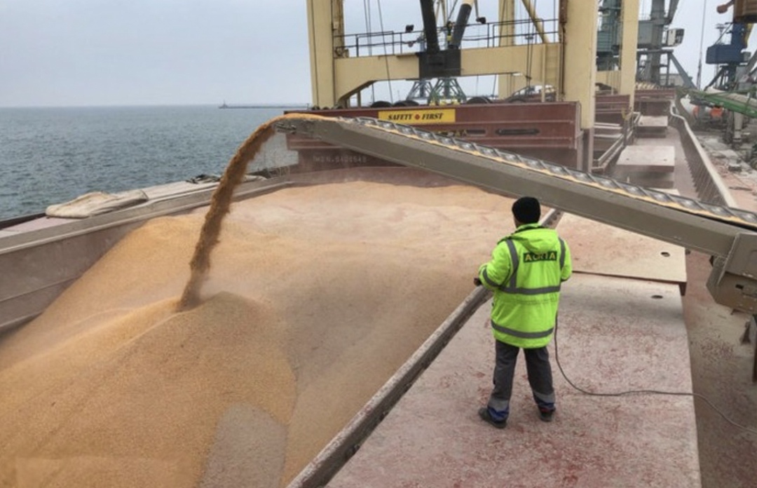 На начало этого года мощности по перевалке зерновых грузов в России составляли более 80 млн т