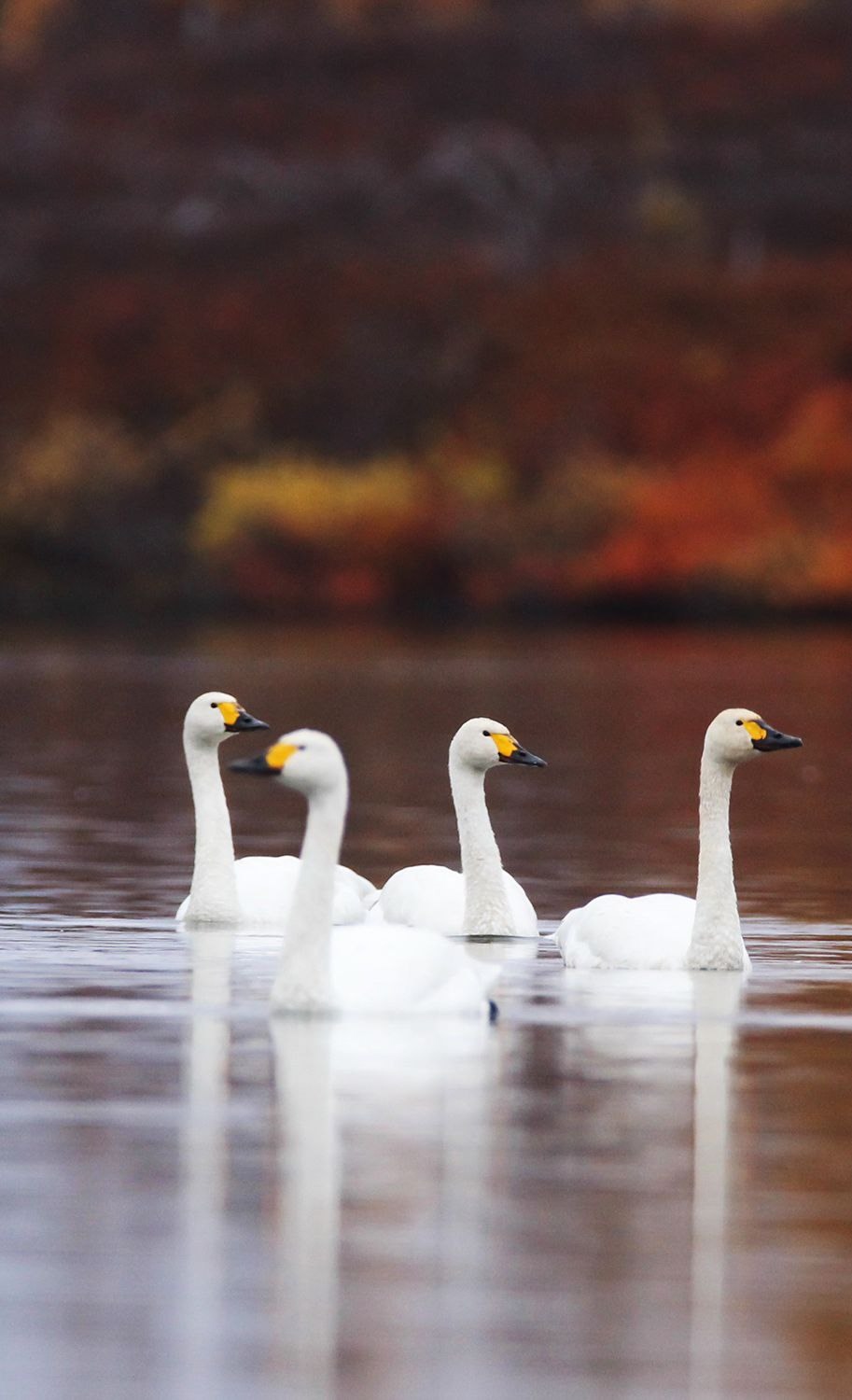 Фото, заряженное на спокойствие Любуемся и отдыхаем душой.