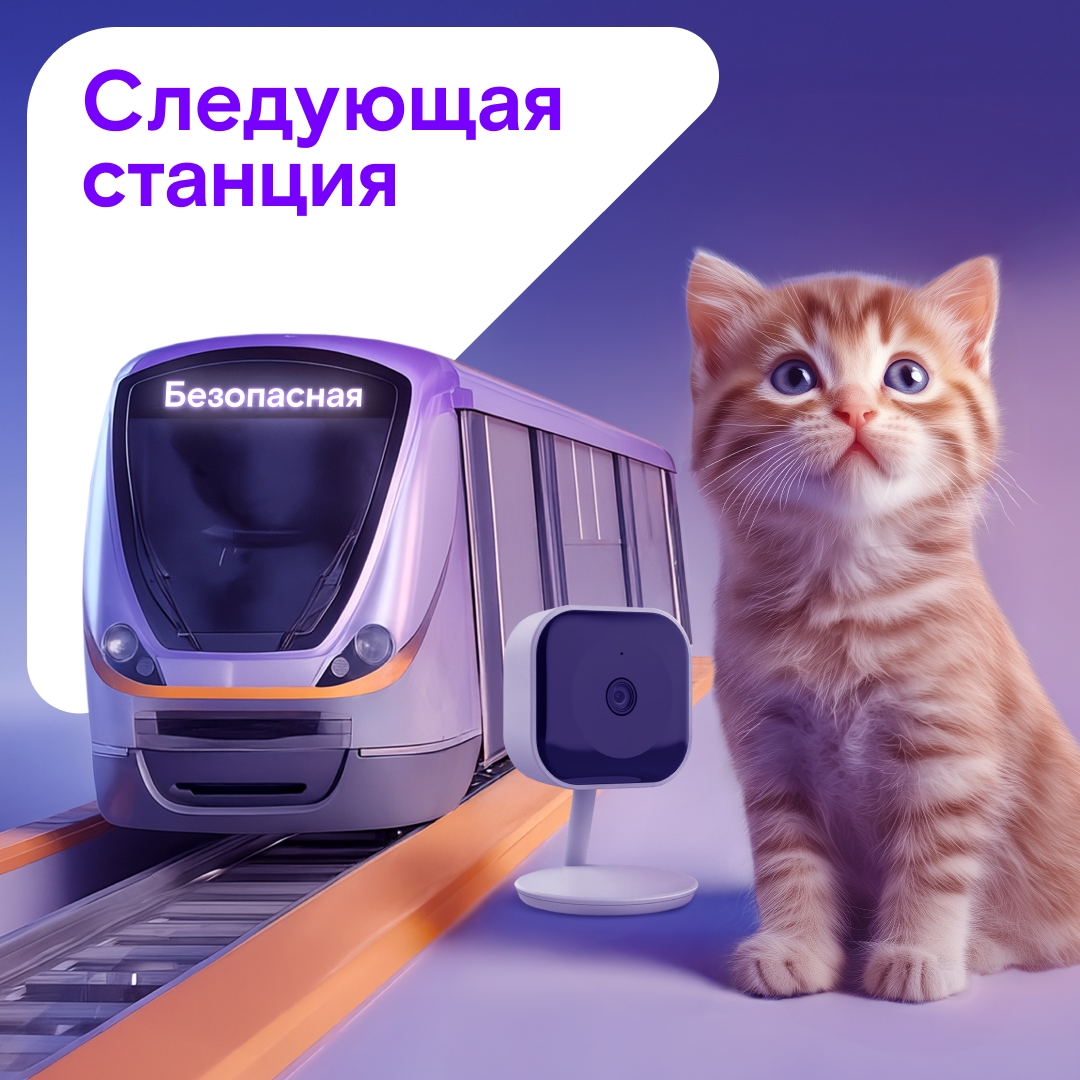 Иногда люди создают для своих питомцев невероятное