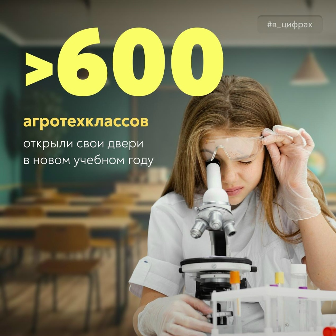 От школьной парты к профессии будущего