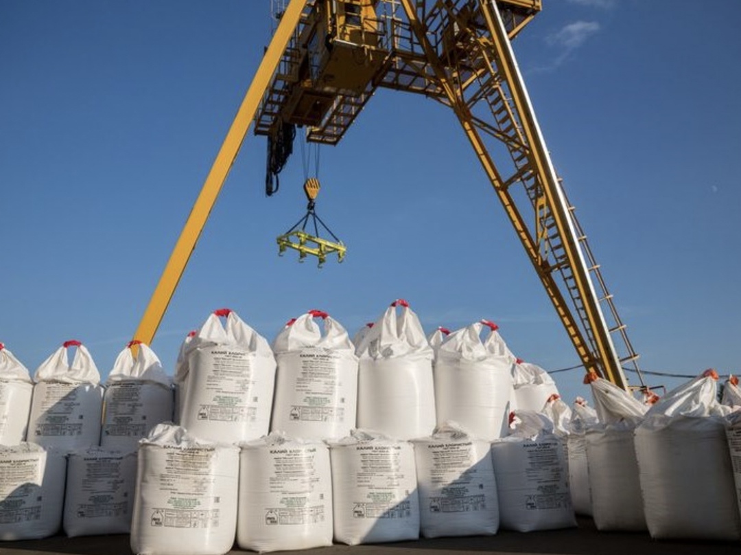 Россия нарастила поставки удобрений странам БРИКС - в Индию, Китай и Латинскую Америку - примерно на 20%, пишет ТАСС со ссылкой на главу Российской ассоциации…