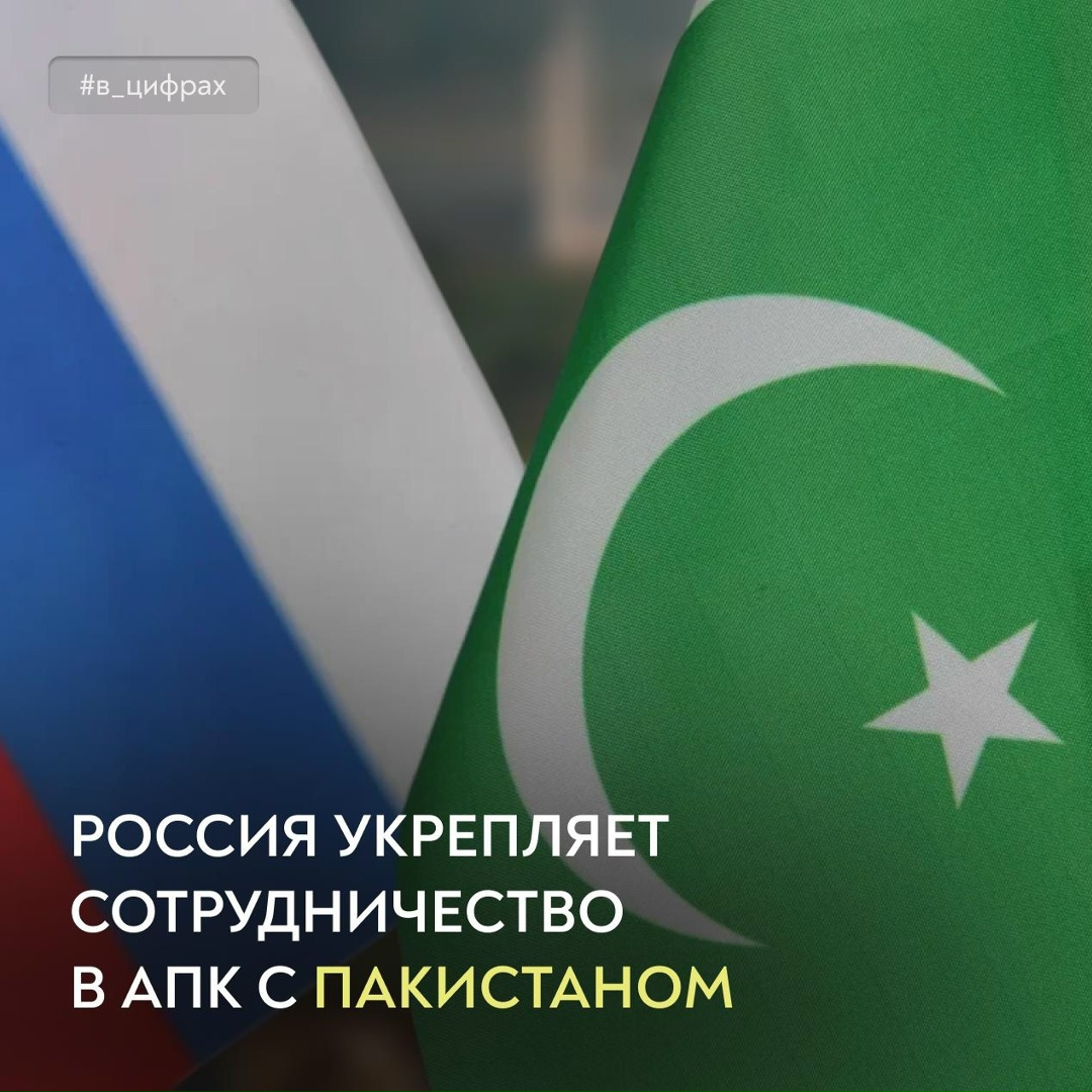 Укрепляем взаимодействие в сфере АПК с Пакистаном