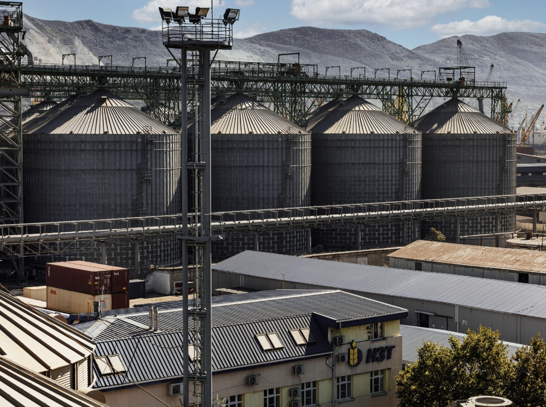 Аналитический центр «СовЭкон» повысил прогноз экспорта пшеницы из России в сезоне-2025/26 с 43,3 млн т до 43,7 млн т