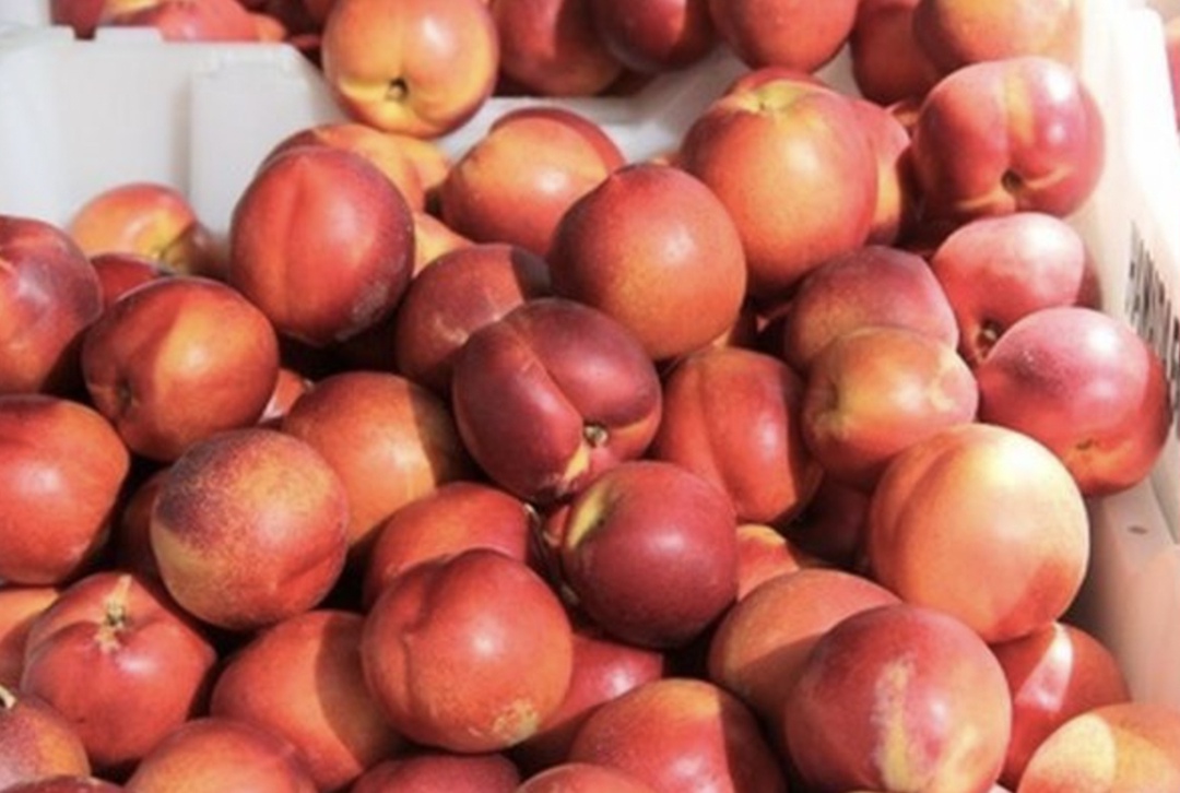 Сервис доставки из магазинов и ресторанов «Купер» выяснил, какие летние плоды чаще всего заказывали в этом году. Лидерами потребительских предпочтений…