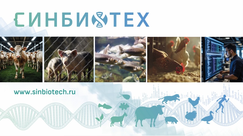 АО «СИНБИОТЕХ»: прорыв в отечественной геномной селекции животных