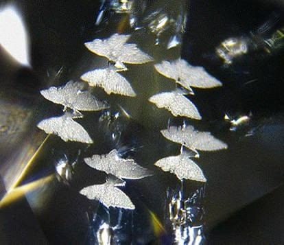 Калейдоскоп бриллиантовых бабочек В этом природном круглом алмазе весом 1,55 карата обнаружено всего одно перьевое включение