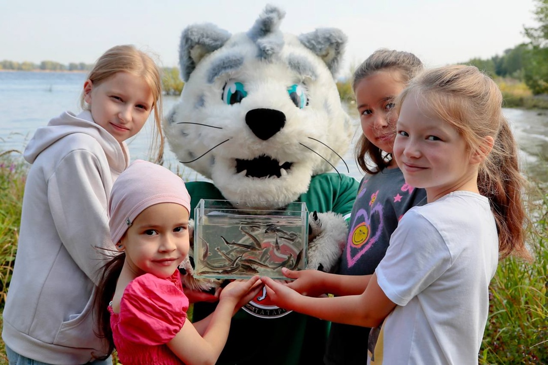 «Чистое наследие»: стартовала международная олимпиада юных экологов!