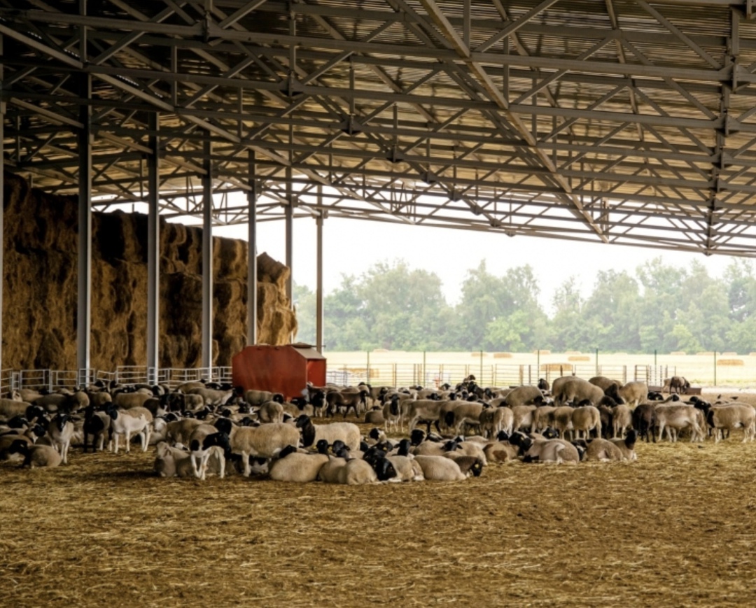 Ростовская зерновая компания «Ресурс» (входит в ГАП «Ресурс») повторно провела экспертизу трех площадок в Ростовской области, отведенных под реализацию…