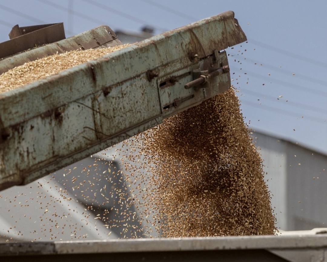 Минсельхоз пока не пересматривал прогноз по урожаю зерна в 135 млн т, сообщил заместитель министра сельского хозяйства Андрей Разин в кулуарах Восточного…