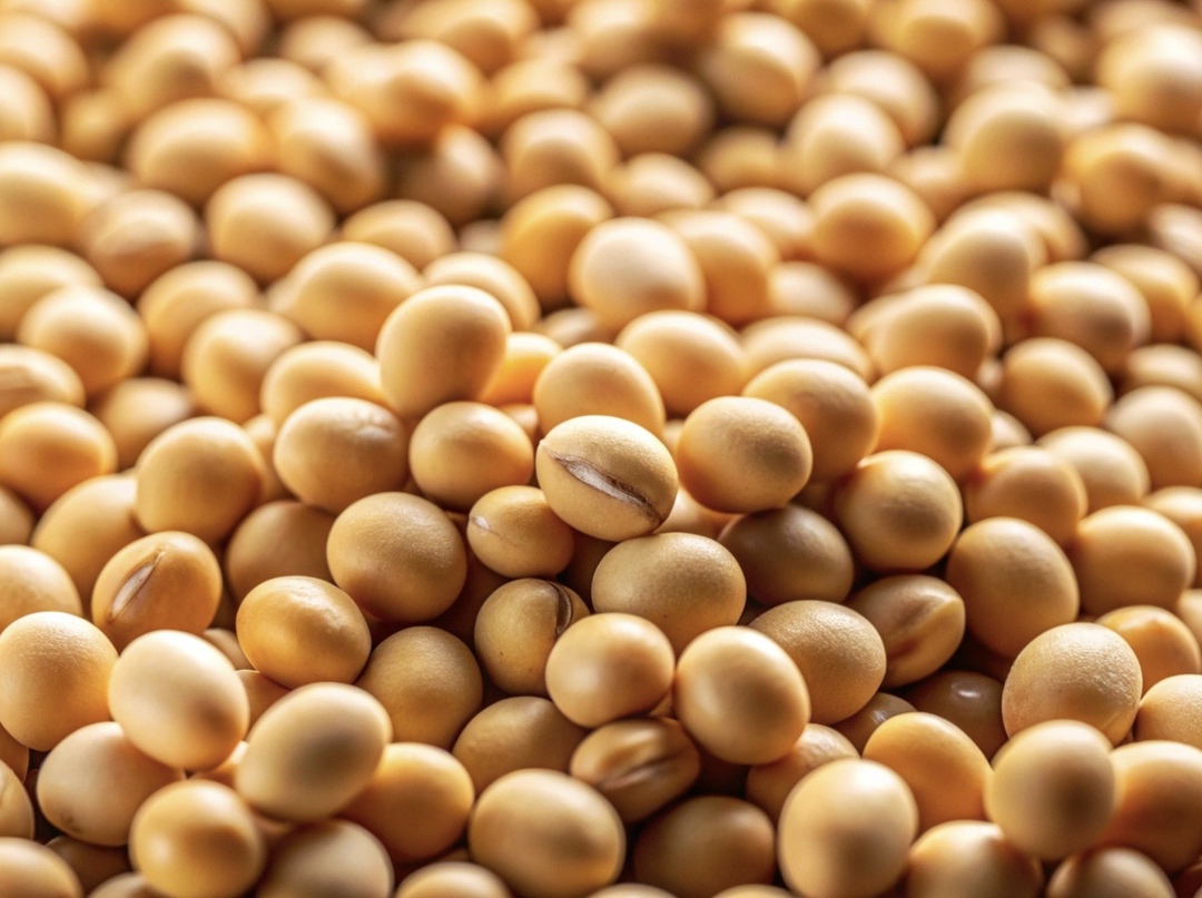 У регионов Дальнего Востока есть большой потенциал не только для увеличения производства сельхозпродукции, но и для развития селекции и семеноводства. Об этом…