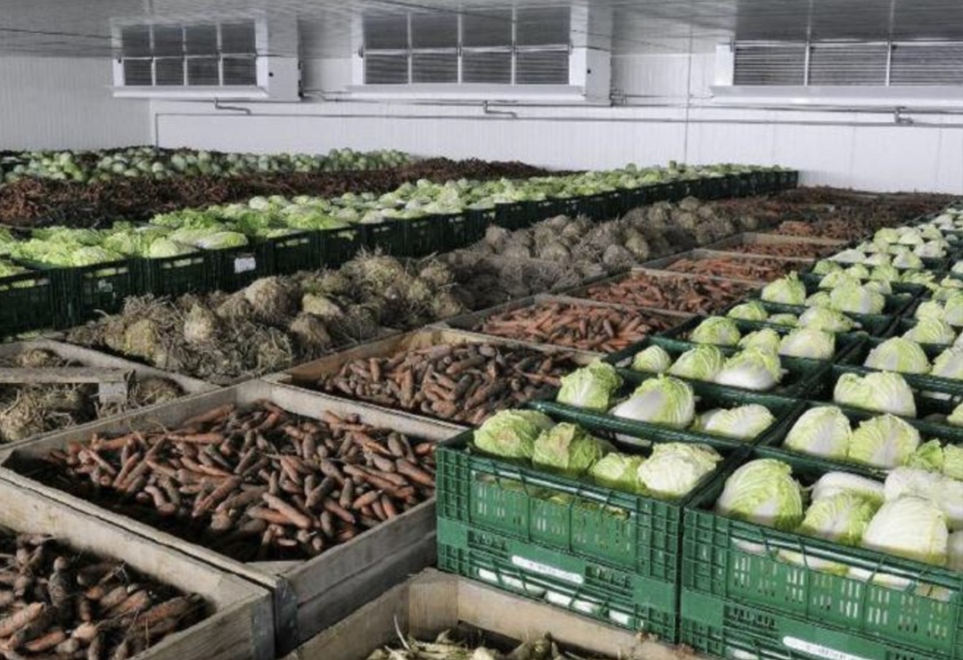 Компания «Гамма» (Благовещенск) планирует построить в Амурской области оптово-распределительный центр с объемом инвестиций в 5,3 млрд руб., сообщает…