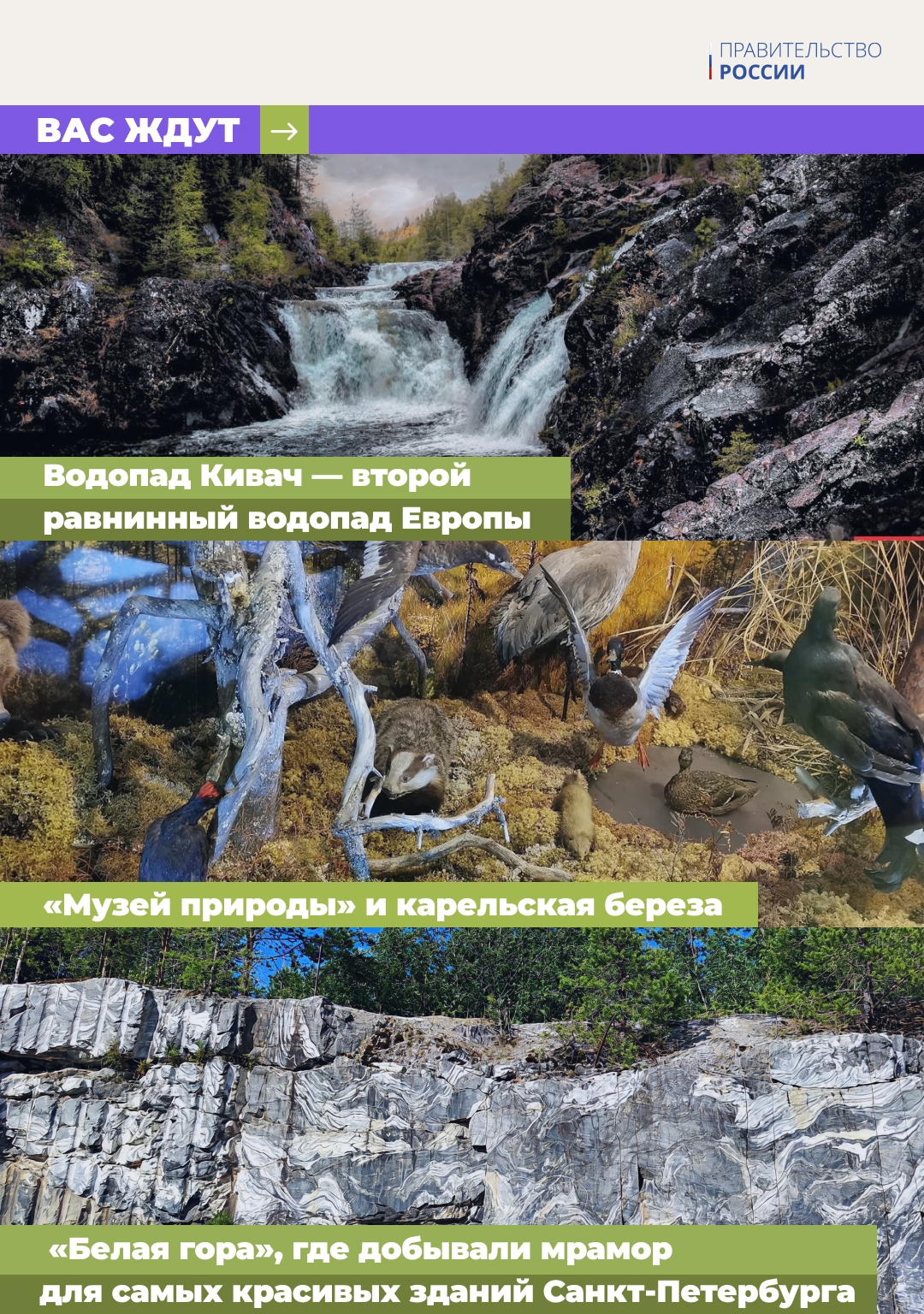 Карельский научный центр РАН, гора Сампо и Национальный музей Республики Карелия, заповедник «Кивач» и «Шунгит центр» – все это ждет участников трехдневного…