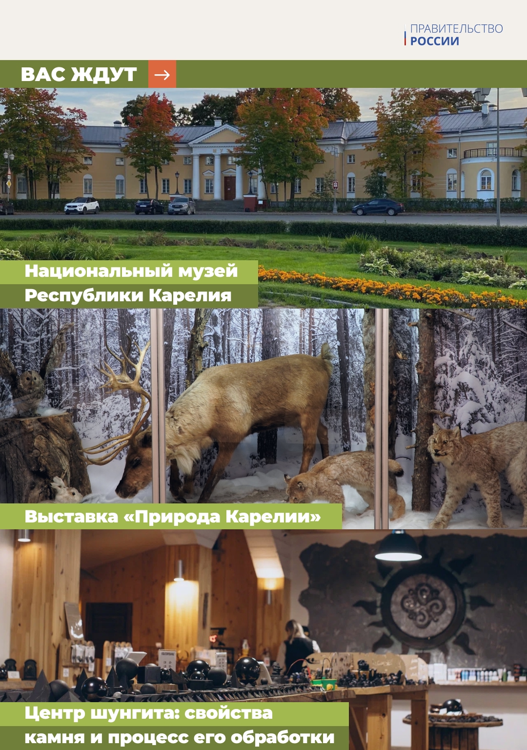 Карельский научный центр РАН, гора Сампо и Национальный музей Республики Карелия, заповедник «Кивач» и «Шунгит центр» – все это ждет участников трехдневного…