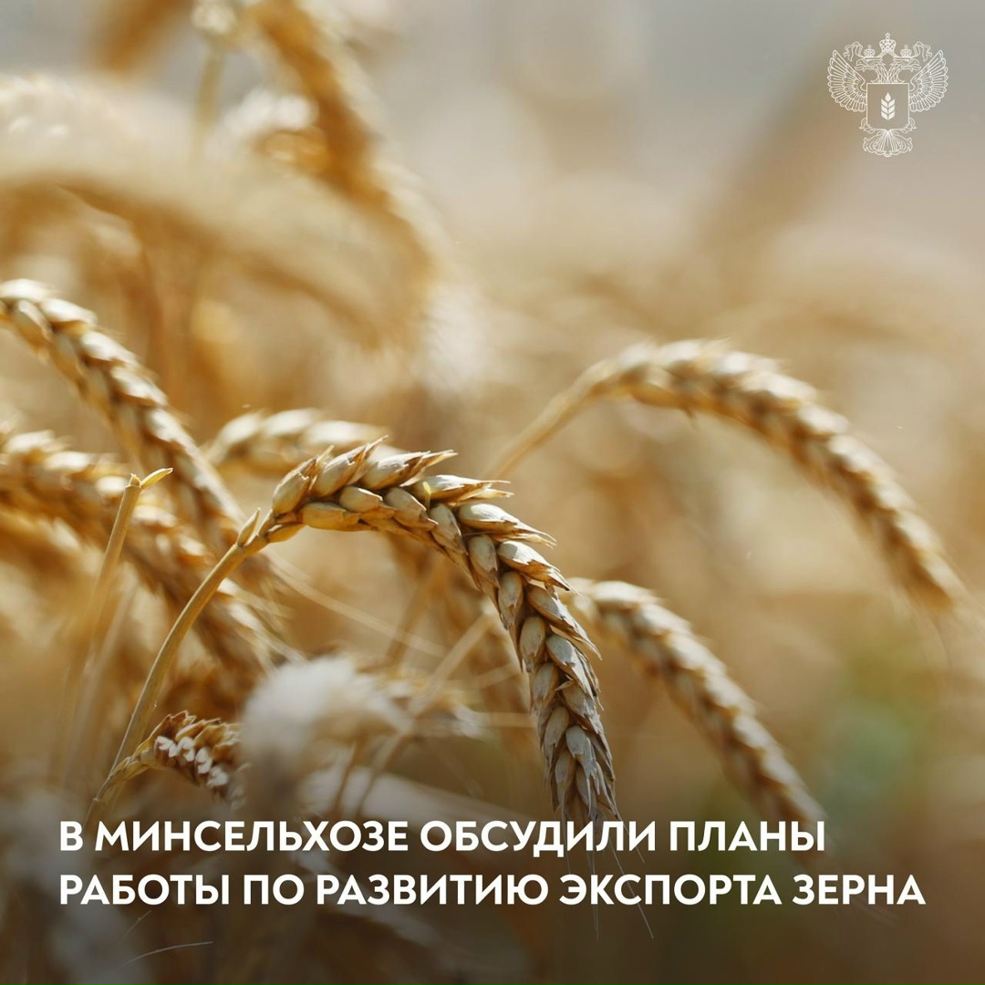 Оксана Лут провела совещание с представители бизнеса и отраслевых союзов. Обсудили прогнозы поставок, логистику и развитие биржевой торговли.