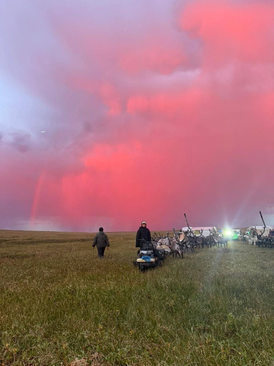 Самая красивая молния Севера! Оленеводы поймали в кадр невероятную грозу