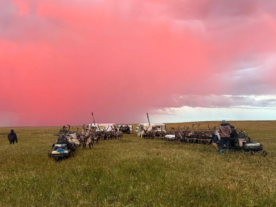 Самая красивая молния Севера! Оленеводы поймали в кадр невероятную грозу