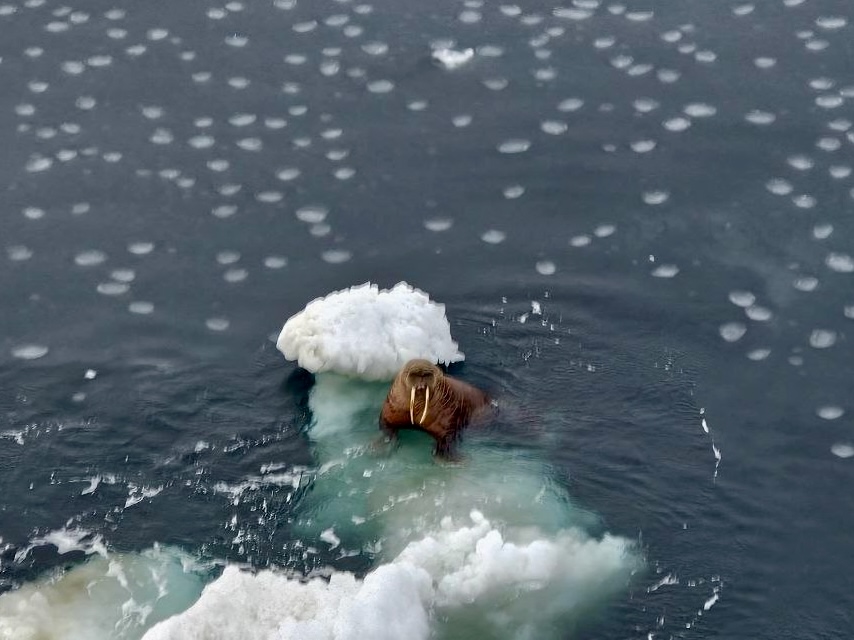От наших моряков — прямиком в наши сообщения!