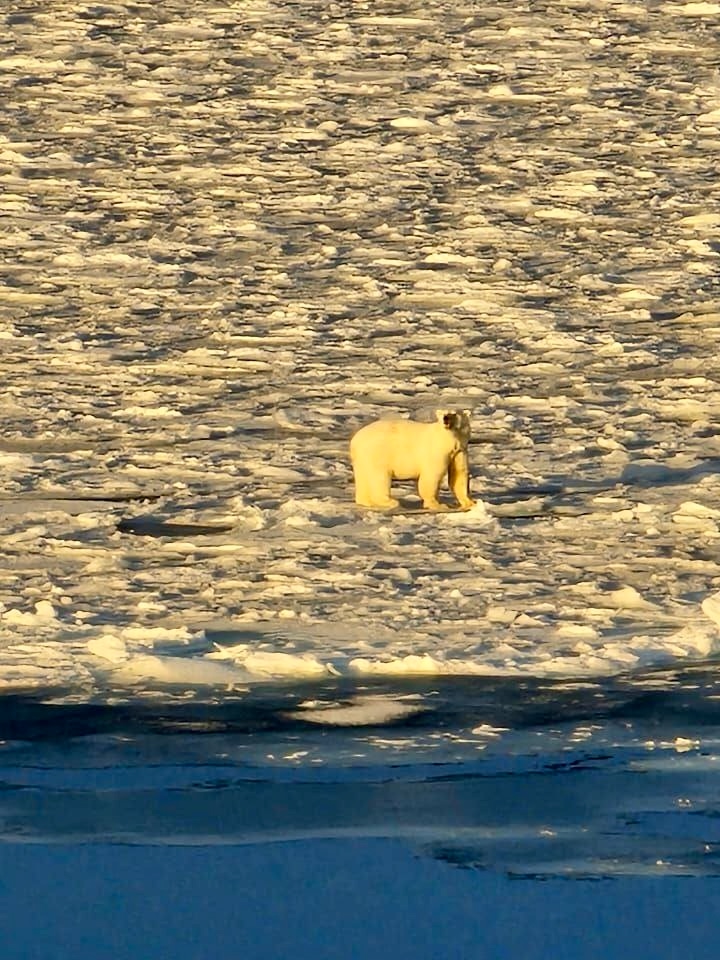 От наших моряков — прямиком в наши сообщения!
