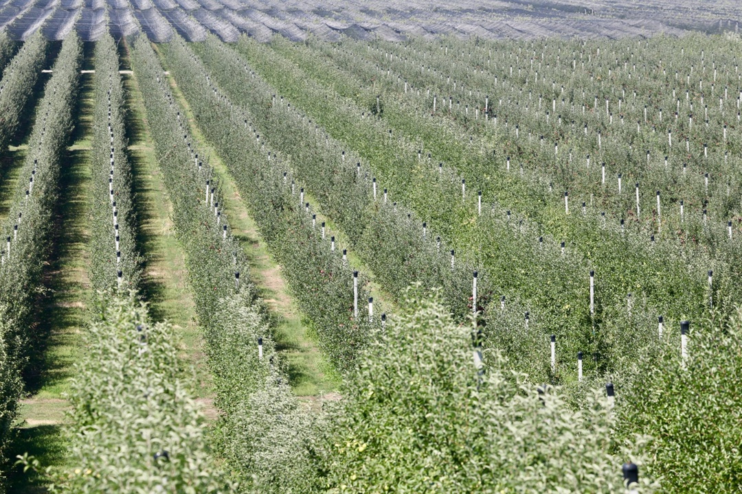 Оксана Лут ознакомилась с аграрным потенциалом Кабардино-Балкарии