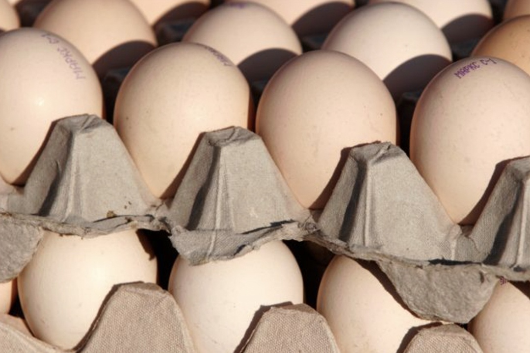 Птицефабрика «Пионерское» на Камчатке, где в октябре 2024 года произошла вспышка гриппа птиц, выйдет на полную мощность в конце января - начале февраля 2026…