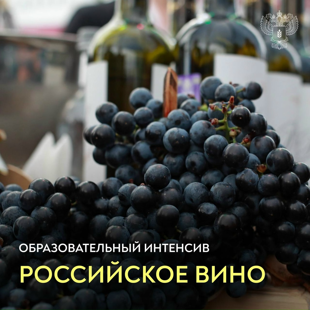 Открываем новые грани российского виноделия