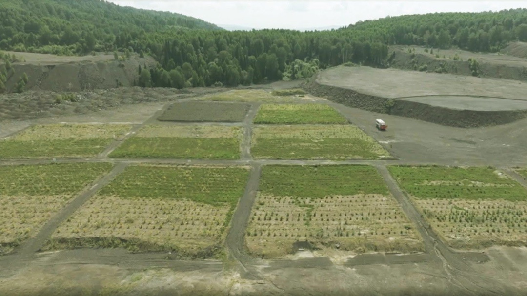 Зеленый эксперимент продолжается! Наш уникальный научно-образовательный экополигон на разрезе «Распадский» – это настоящая лаборатория под открытым небом